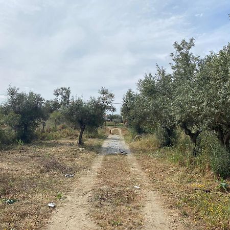 São Pedro do Corval Cor De Azeitonaヴィラ エクステリア 写真